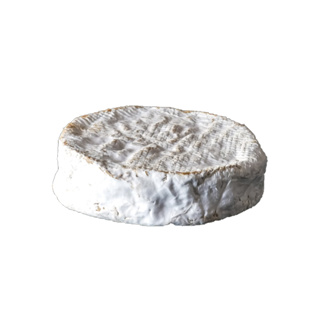 Cheese Coulommiers Raw Milk Donge 450gr