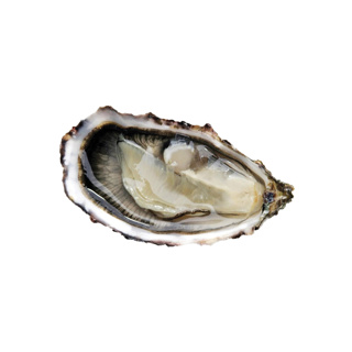 Oyster Fine de Claire n°3 Tessier | Box w/96pcs