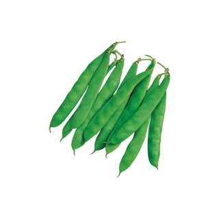 Coco Flat Beans GDP 1kg