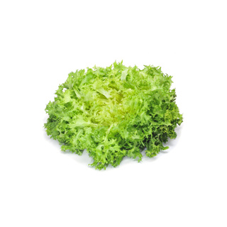 Curly Salad GDP 500gr Tray | Box w/10trays