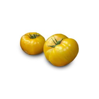 Pineapple Tomato GDP 1kg
