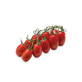 Tomato Mini San Marzano GDP 1kg