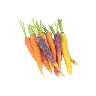 Mixed Coloured Carrots GDP 1kg