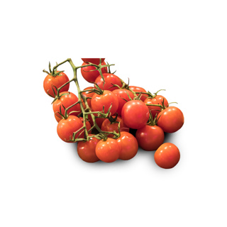 Tomato Sweetbaby Jouno GDP 1kg