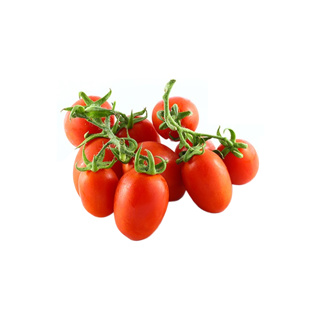 Picadilly tomato IT kg