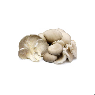 Grey Oyster Mushroom GDP 1kg