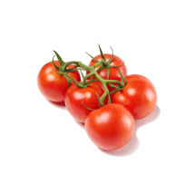 Tomato on Vine Tatli Limon 1kg 