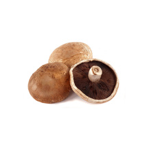Portobello Mushroom GDP 1kg
