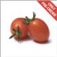 Tomato Graped - Rabelais