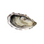 Oyster Fine de Claire n°4 Tessier | Box w/100pcs