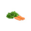 Carrots GDP | Box w/12bunchs