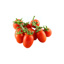 Picadilly tomato IT kg
