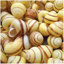 Snails Shells Romanzini V.L. | Bag w/120pcs