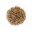 Coriander Seeds Selectissime 250gr