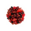 Mix 5 Berries SDP 45gr
